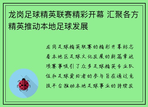 龙岗足球精英联赛精彩开幕 汇聚各方精英推动本地足球发展